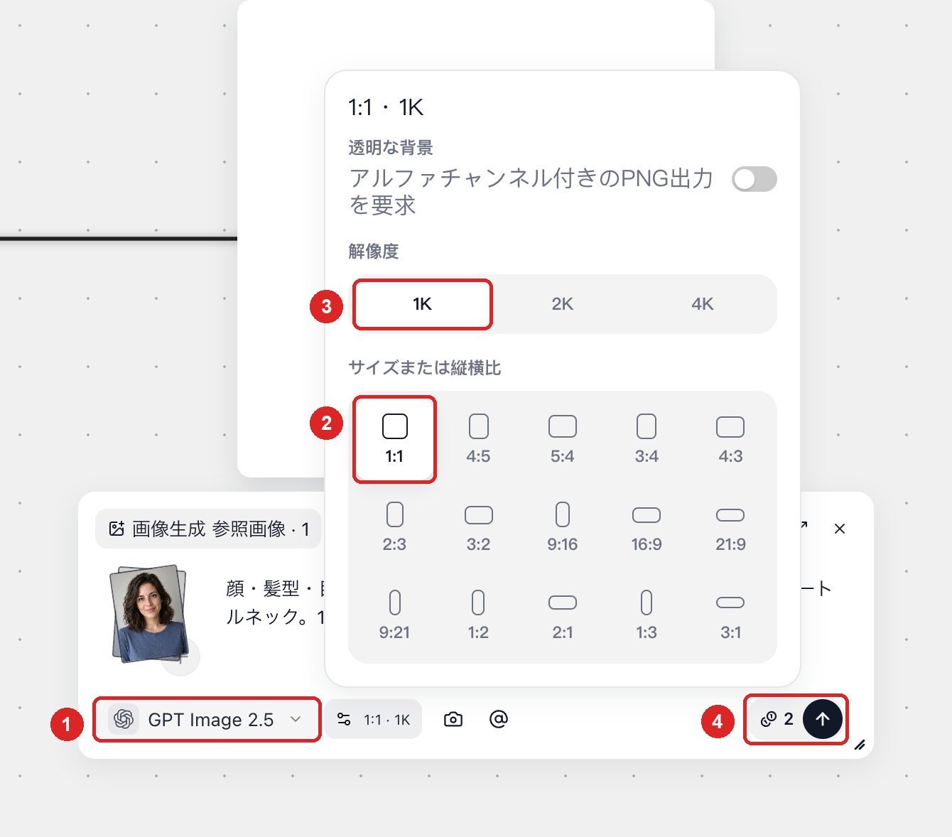 画像設定で 1:1 と 1K を選択している画面