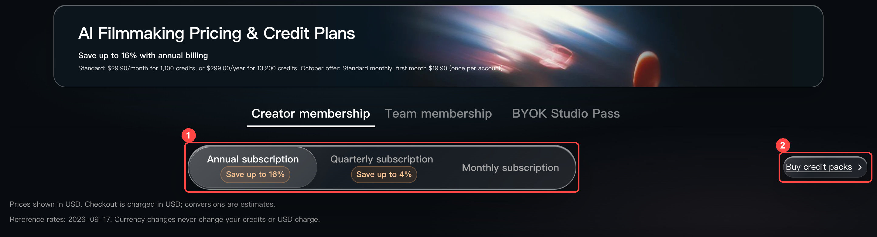 Choosing a subscription period or a credit pack on the pricing page